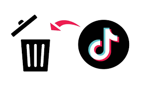 Slette TikTok